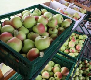 Obstgarten Oberkrämer