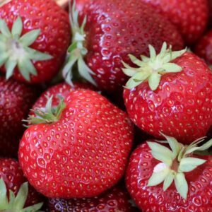 Obstgarten Oberkrämer