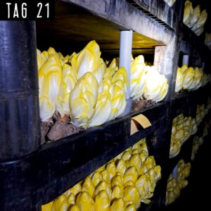 Transportunternehmen Oberkrämer