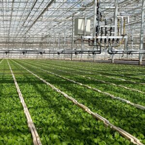 Transportunternehmen Oberkrämer